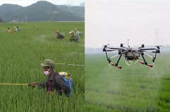 探秘極飛新疆：植保無(wú)人機(jī)到底用得怎么樣？